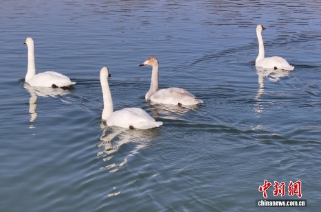 wc930x592_14eccd194c6e46b9a007f190224b2a25