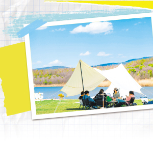 52901765902901014 52901765902901014