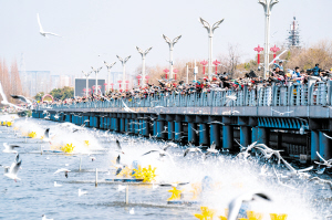 10851765902901030 10851765902901030