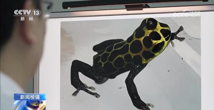 “个性伙伴”成“致命威胁” 严打“异宠”非法入境 6686体育