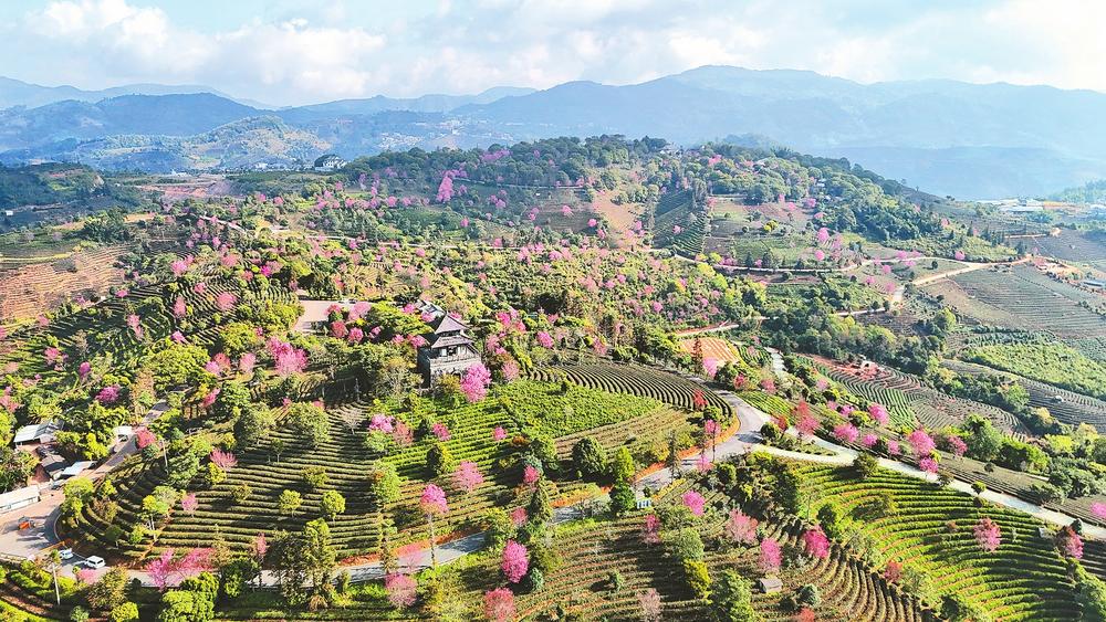 586c156e-56d9-4ef2-90f7-1f44fe7c7633