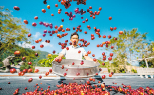 86921768326525347 86921768326525347