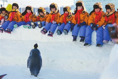 zgjyb0115001_004_01_b