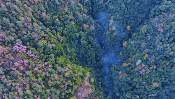 20260112ebcb999e930241d58089536d282de5c1_20260109eb150cd1535f4479b9ac0f3eac30c4e4