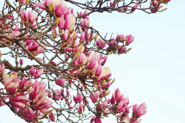 69732a32e4b0464522cec489 69732a32e4b0464522cec489