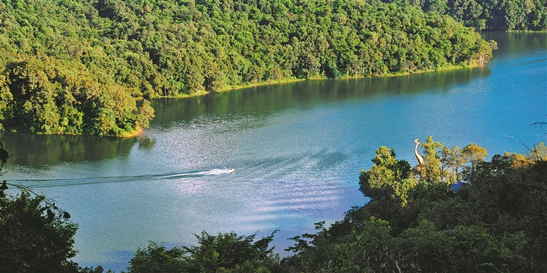 55453_d557aee4-82f0-43e6-acbe-1c0f37809455_l