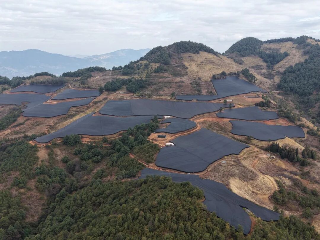 响水村中药材种植基地1（德党镇响水村  2026.1.14）.jpg