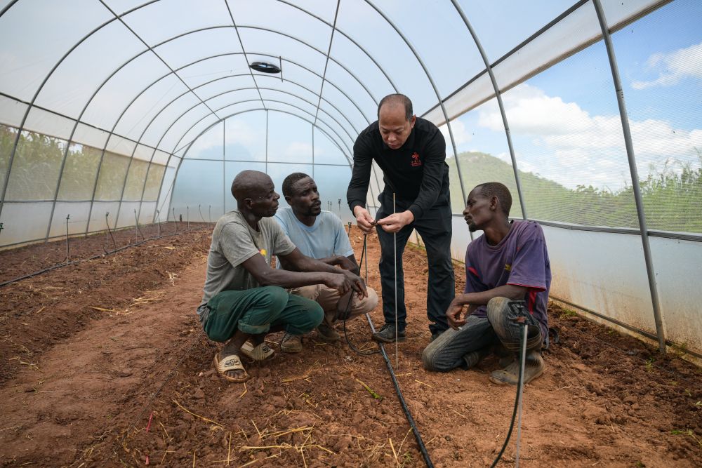 XxjidoC000013_20260208_CBMFN0A002