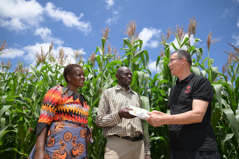 XxjidoC000013_20260208_CBMFN0A003