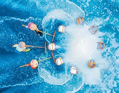 “野趣”花岙 6686体育