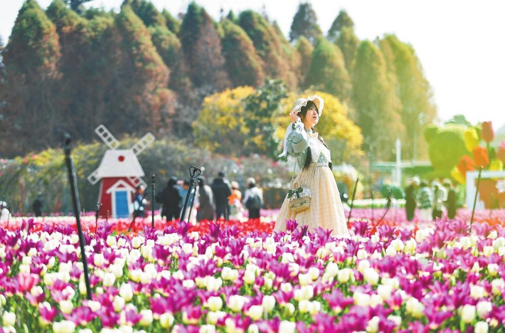 微信图片_20260211085101_108_158