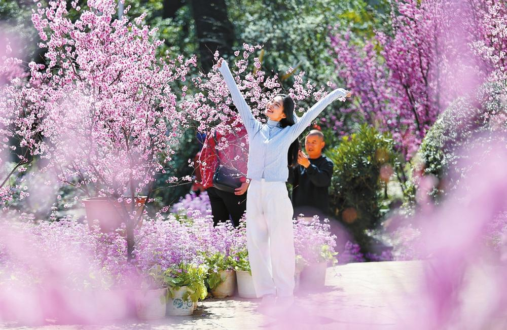 微信图片_20260211085105_109_158