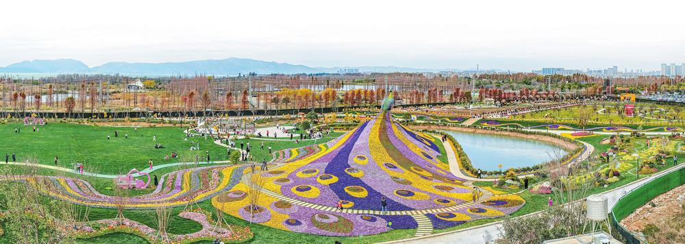 微信图片_20260211085128_114_158