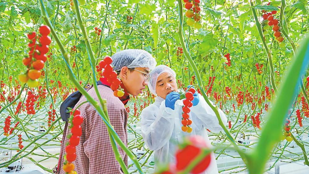 微信图片_20260213081316_136_158