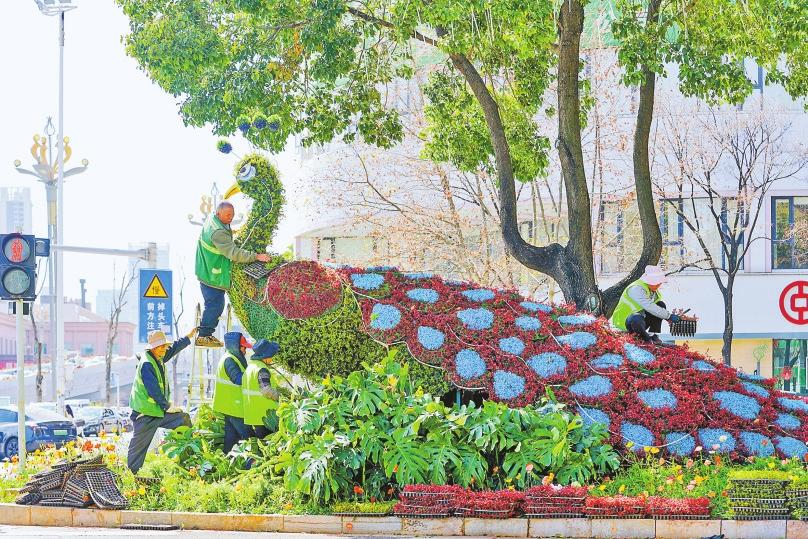 微信图片_20260214081339_171_158