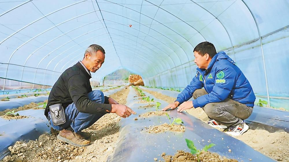 微信图片_20260214082056_175_158