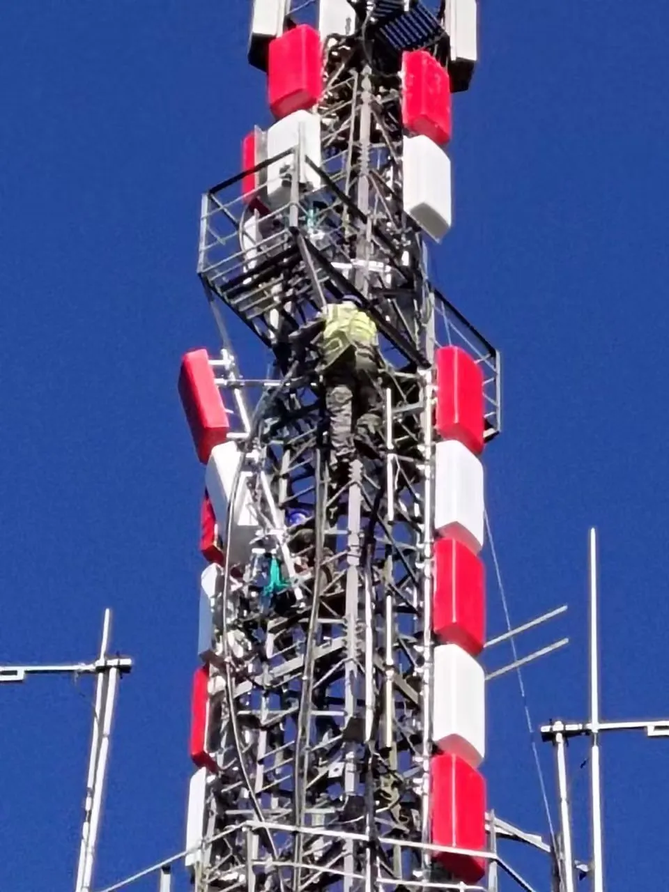 微信图片_20260218113956_50_42