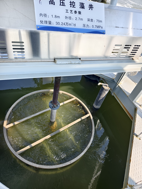 新春走基层｜山朝水朝，不如人来朝——异龙湖畔感受高原湖泊治污成果