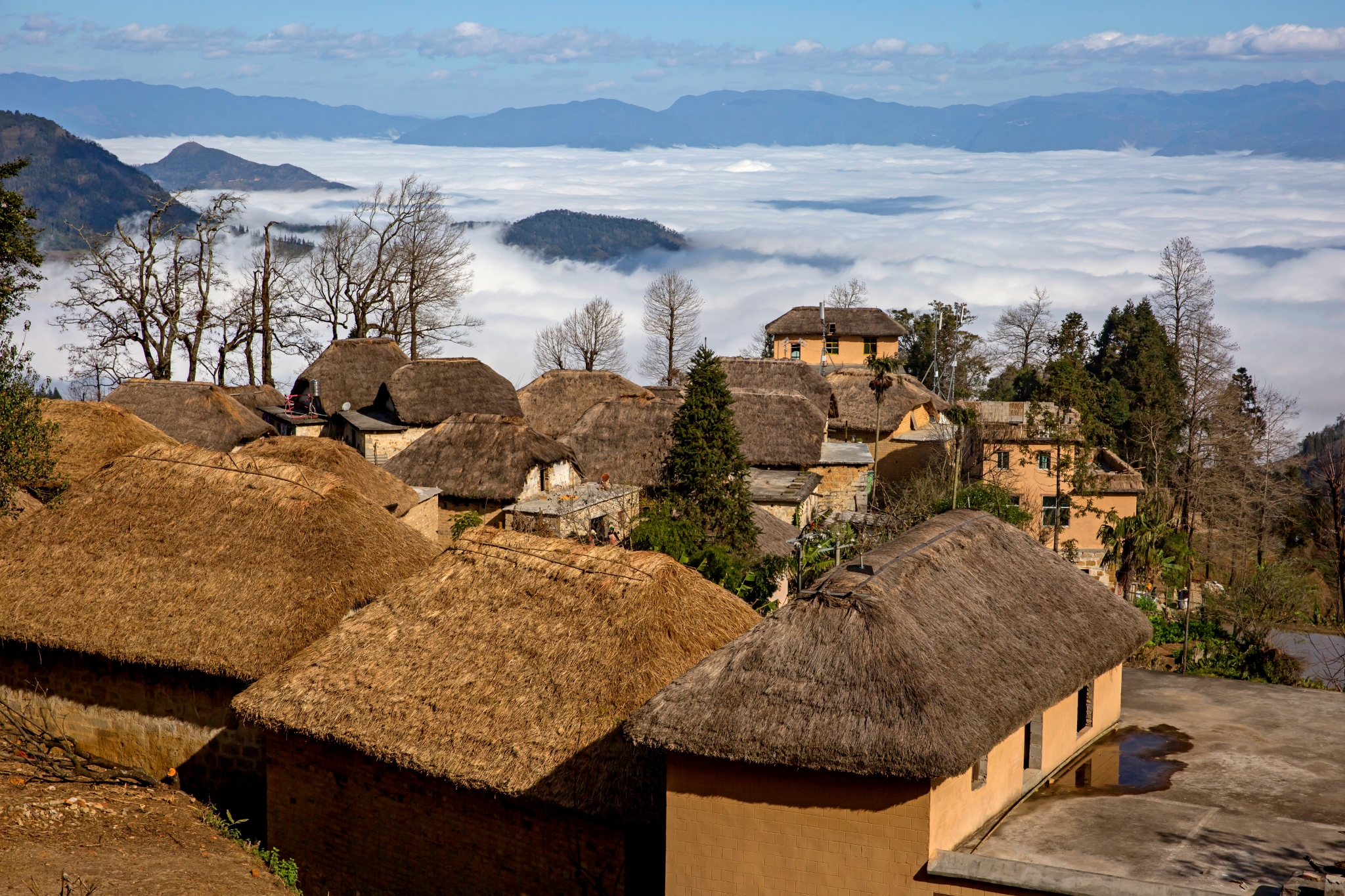 阿者科蘑菇房 金家貌
