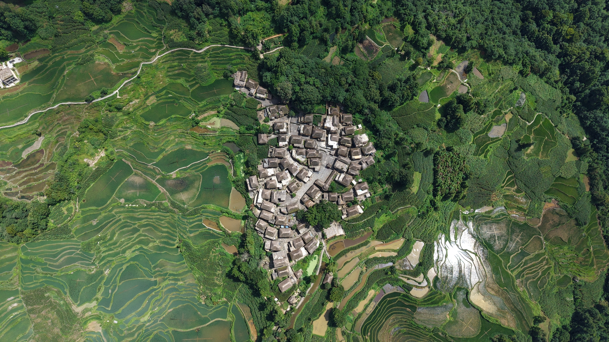 阿者科村全景, 林嘉睿摄 (1)