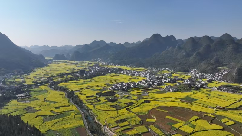 赏花潮来临 云南铁路开行“游遍神州系列”特色赏花专列 通讯员 蒋志飞 摄