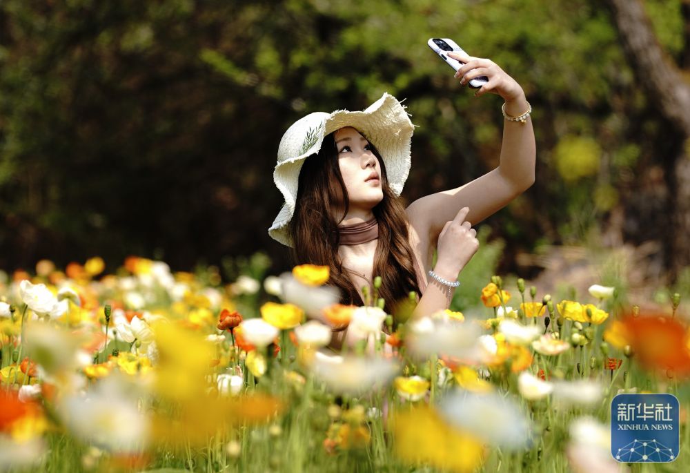 00307786343_fe6612a0