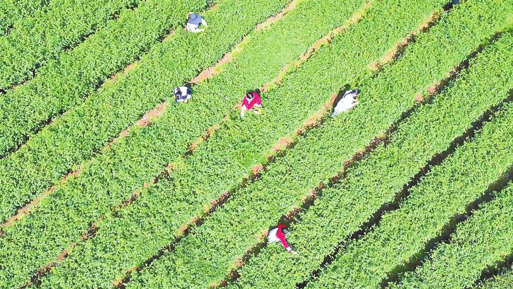 微信图片_20260312083401_350_158