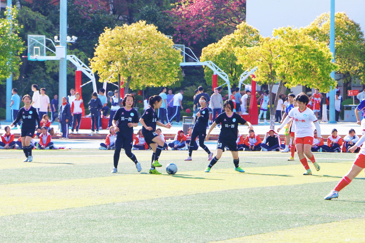 13.女足比赛现场 (2) 13.女足比赛现场 (2)