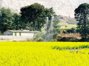 28901774198881336 28901774198881336