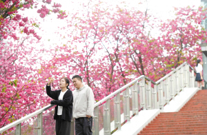 微信图片_2026-03-29_102819_819