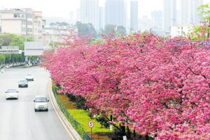 微信图片_2026-03-29_102804_683