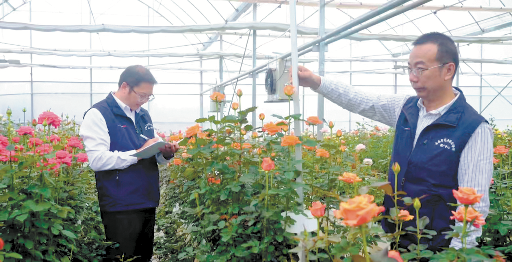 e7dd9af4063eb765c7c78668af9e5054611a314a