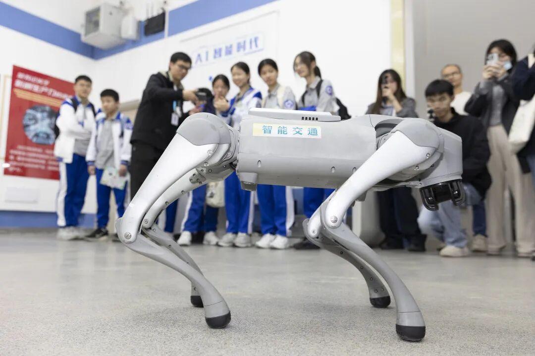 54943115_b7ef9fdc-7634-433f-af0e-00331c084a8d