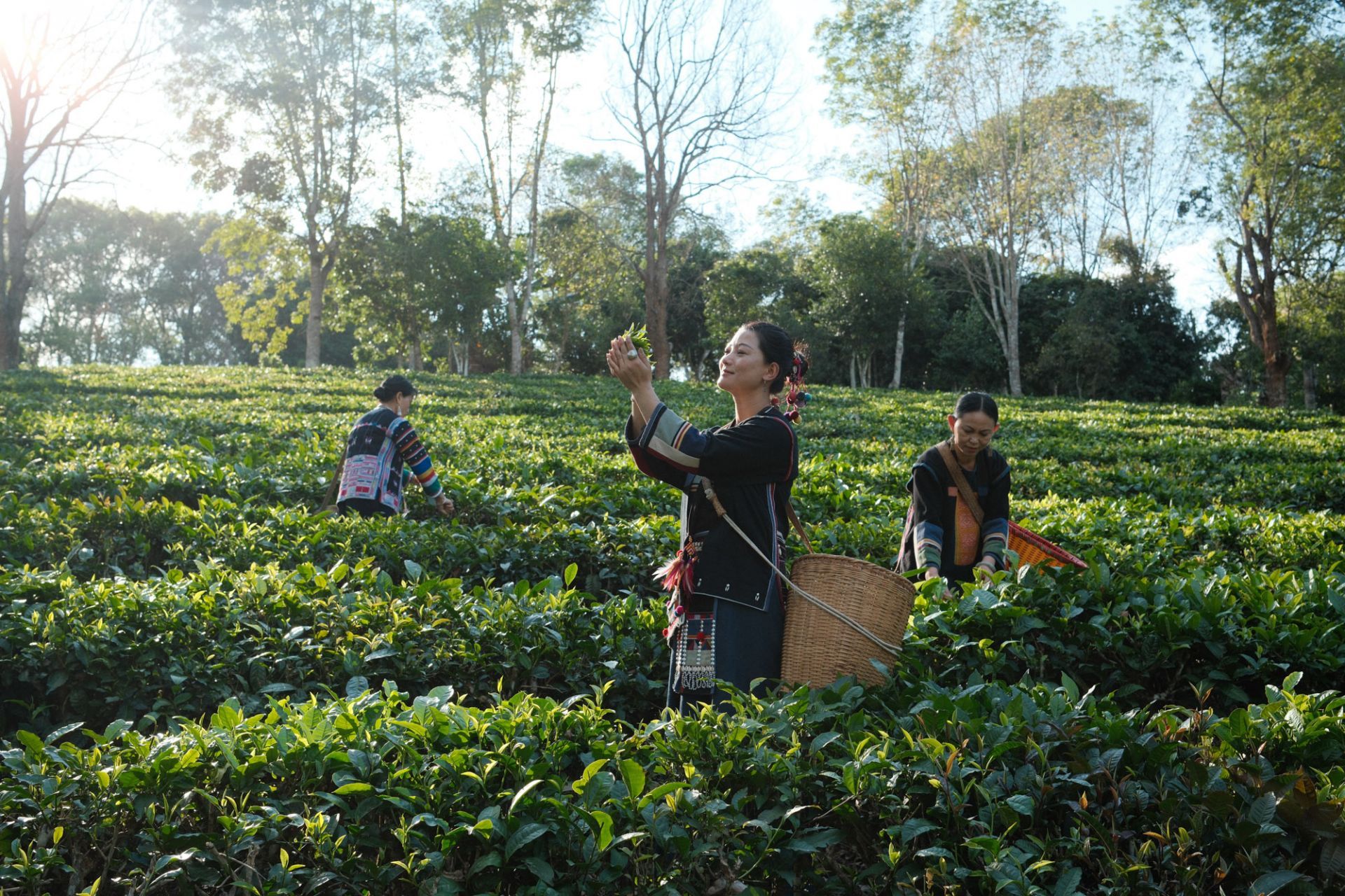 8d18dfa14e58767e503c012bfaeab41e