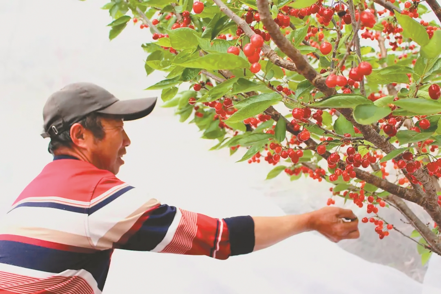 7138aab32bc4d6e74391593d269913f7