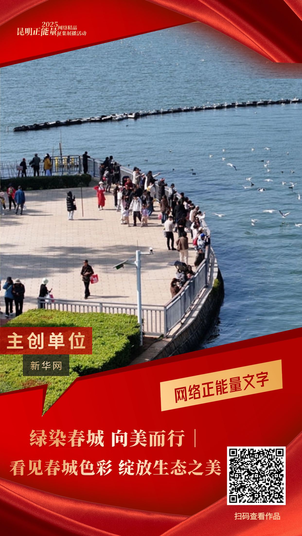 绿染春城 向美而行｜看见春城色彩 绽放生态之美