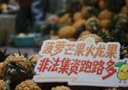 6686体育