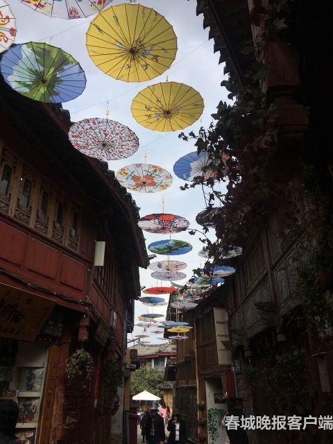 微信图片_20190203221925