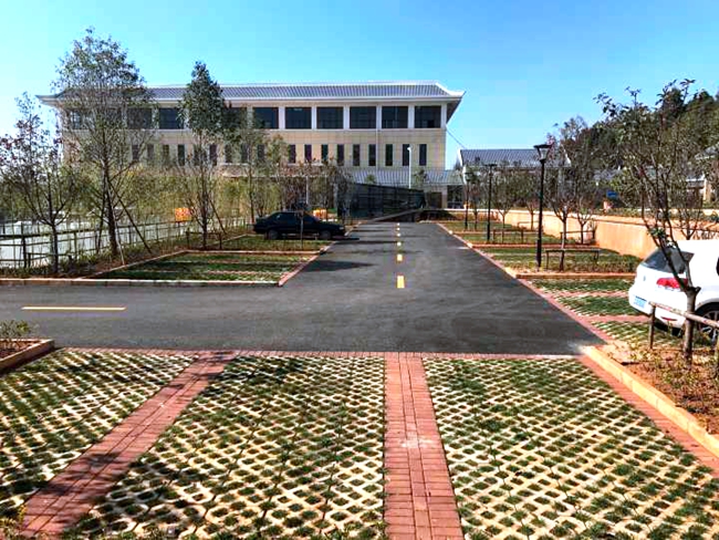 新馆地面停车场