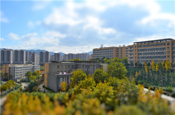 秋天的校园_副本