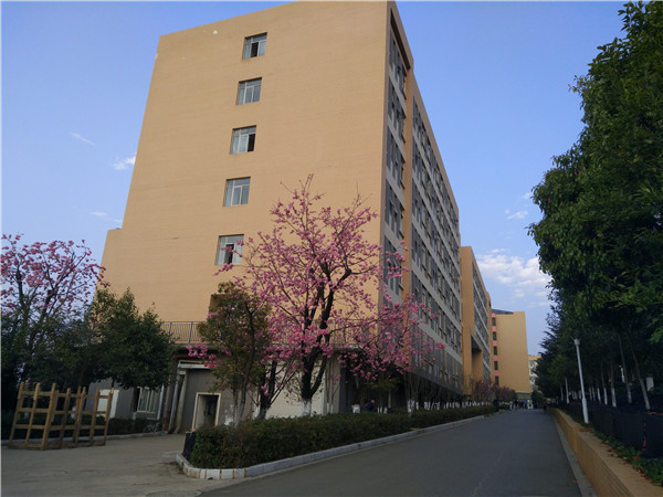 男生宿舍春华苑