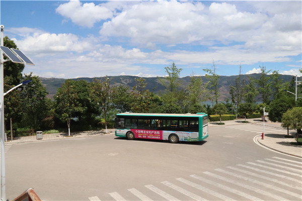 校园公交 校园公交