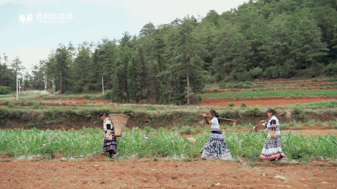 阿子营村支书正片.00_00_39_04.Still011