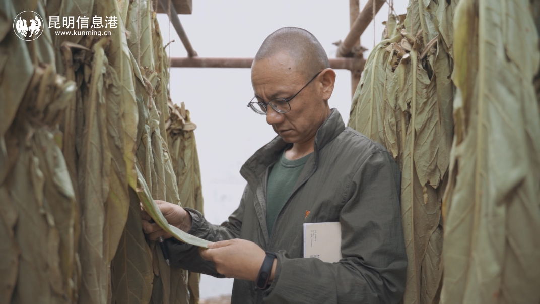 序列 01.00_00_36_04.Still003