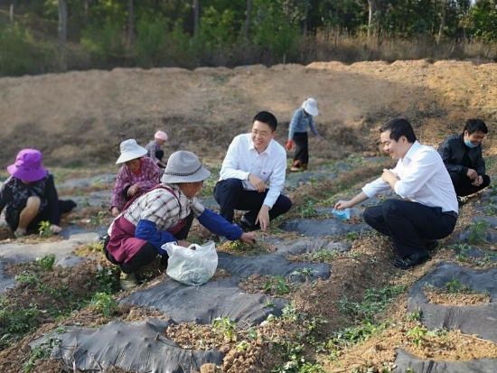恒丰银行文山支行工作人员走访当地企业