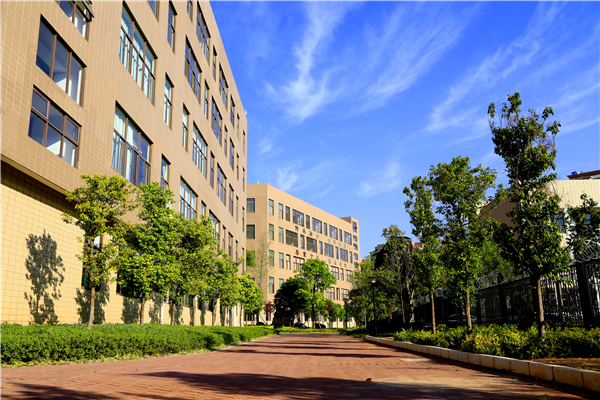 校园风光旖旎 校园风光旖旎