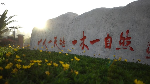 北京八十学校_副本 北京八十学校_副本