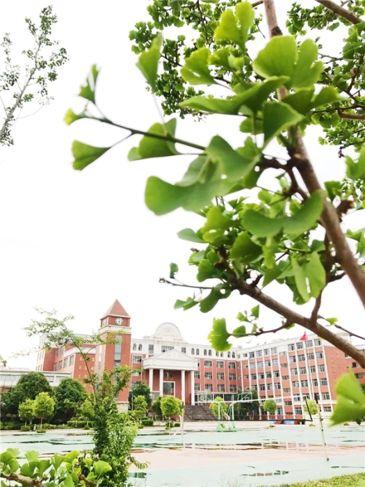 微信图片_20210402101022 微信图片_20210402101022