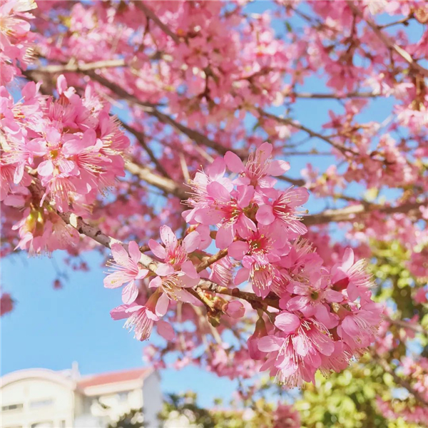 微信图片_20210402111838 微信图片_20210402111838