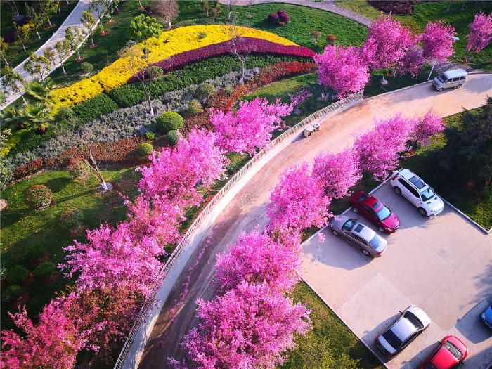 校园景色 校园景色